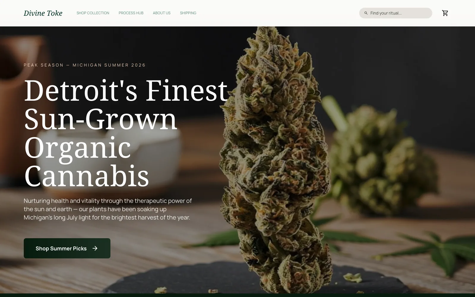 Divine Toke website